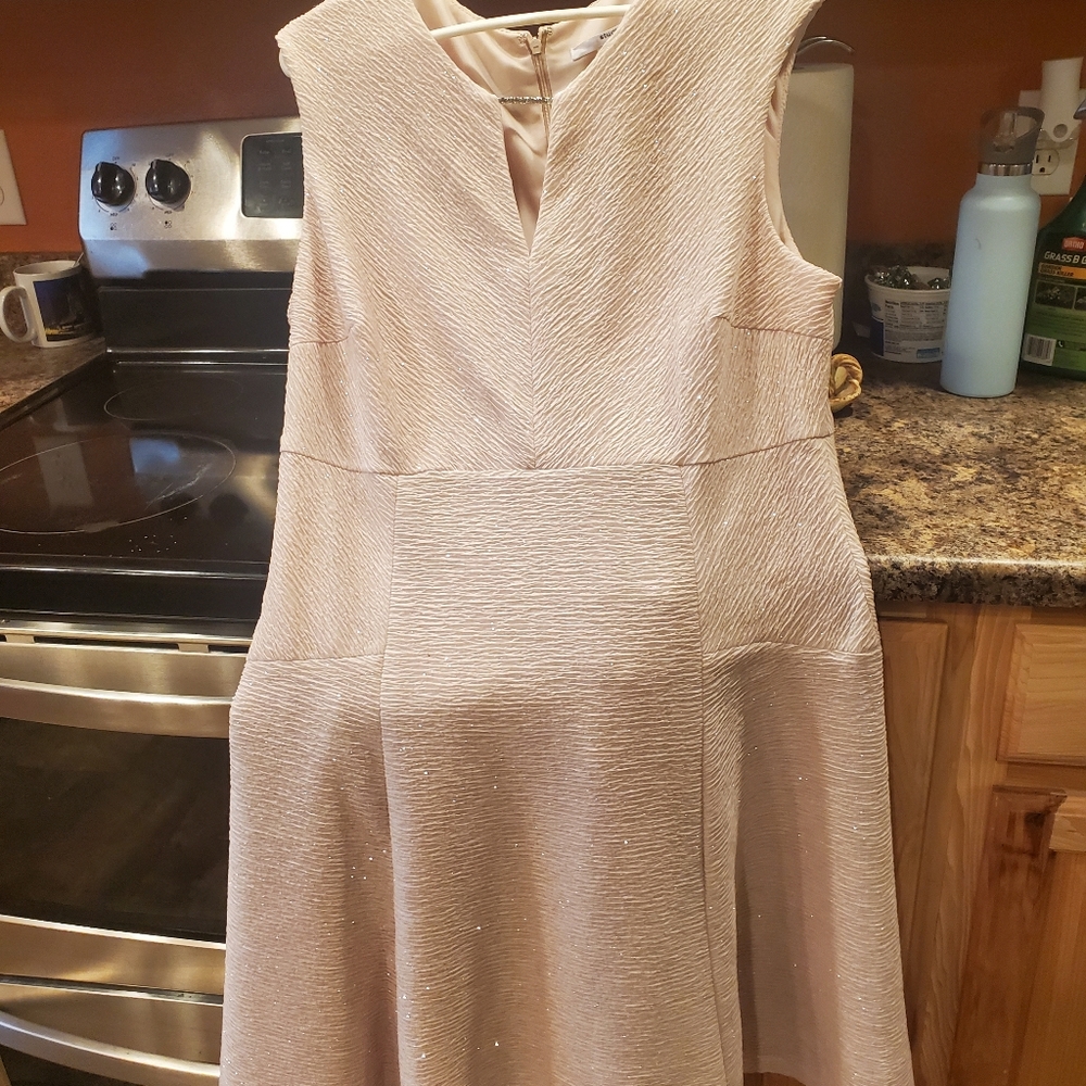 Size 16. Studio one dress